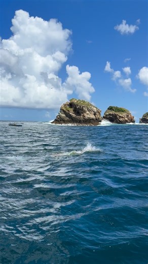 Have you ever heard of the turtle theory? Turtles don’t rush. They don’t panic. They don’t waste energy worrying about who’s ahead or behind. They just keep moving - one steady stroke at a time. Through calm waters. Through rough seas. And somehow, they always find their way to shore. Because in the long run, speed doesn’t matter. Patience does. You don’t have to sprint. You just have to keep going. Even the smallest steps carry you forward. Slow progress is still progress. And calm endurance wi