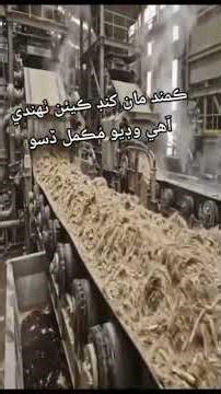 How Is Sugar Made From Sugarcane? | Sugar Making Process Explained | Educational Video #ajwaattaria