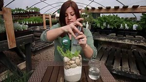78K views · 655 shares | Here's how I handle containers with no drainage!  | Garden Answer | Facebook