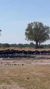 32K views · 1K reactions | When you stop for a coffee by the water...