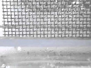 Mesh Net Harvests Fog for Drinking Water | Video
