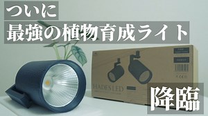 【超おしゃれ】おすすめ！植物育成ライト「HADES（ハデス）LED」レビュー！BARREL（バレル）最強LED！ライティングレール（ダクトレール）に取り付けてインテリアに差を付けよう！観葉植物｜ビカクシダ｜アガベ｜塊根植物｜エアプランツ｜アクアリウム - RxFarm