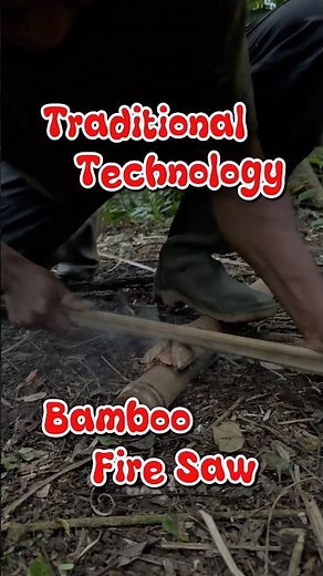 Traditional technology, bamboo fire saw #firemaking #bushcraft #primitivefirelighting #survival