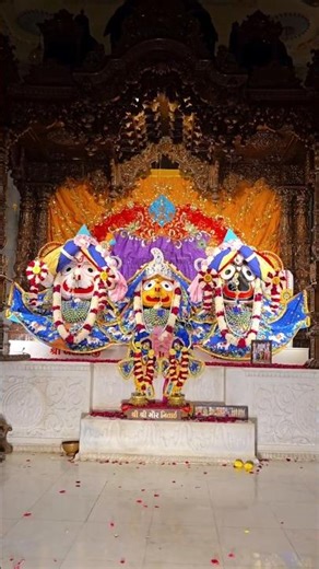 Divine Darshan of Lord Jagannath 🙏 | Feel the Blessings | Jai Jagannath