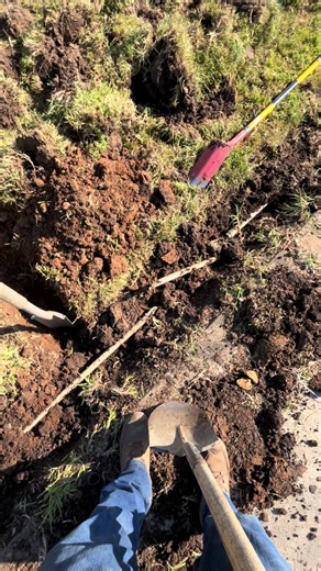 Jesus Valencia (@jesusvalencia1885)’s videos with sonido original - Jesus Valencia