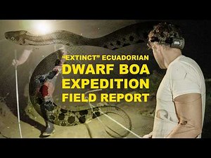 The Search for the Ecuadorian Dwarf Boa