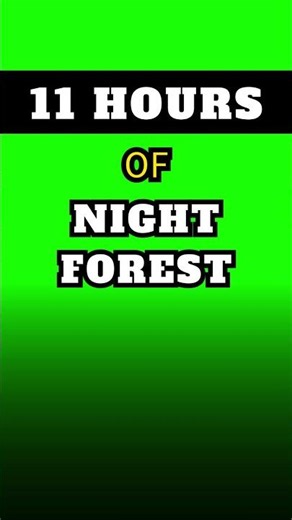 🌳NIGHT FOREST 🟩GREEN SCREEN 🌲Nature Sounds ⏳11 Hours