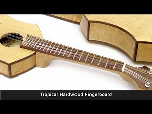 The Dakota Mandolin and Mandola by Musicmakers