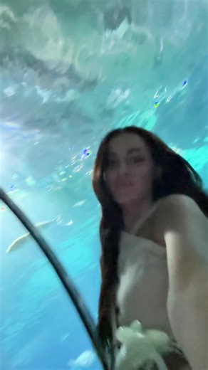 Video's van eni.nika (@eni.nika) met original sound - Erin Fang | thelittlebasket