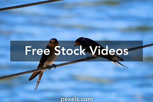 Cable Wire Videos, Download The BEST Free 4k Stock Video Footage & Cable Wire HD Video Clips