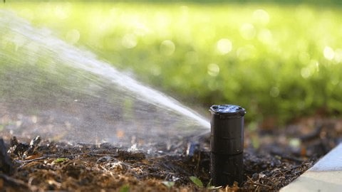 clip-3997580583-lawn-grass-watering-automated-sprinkler-keeping-green