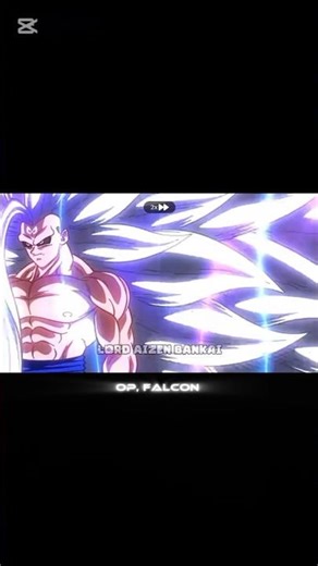 Super Saiyan infinity Goku vs Omni mode grand priest..