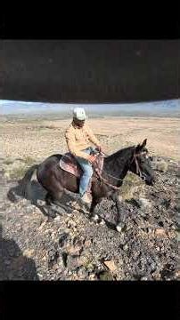 Las Vegas Horseback Riding | Desert Trails Experience 🐎🌵
