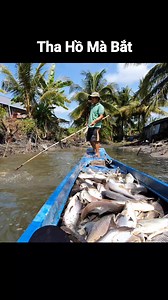 1.2M views · 2.5K reactions | Tha Hồ Mà Bắt Cá #batca #batcamientay #catchfish #fish | Hoàng Linh Miền Tây | Facebook
