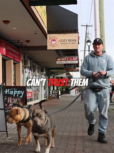 Master Your Dog's Heel: Effective Training Techniques