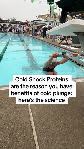 Dr. Wendy & Women’s Wellness on TikTok