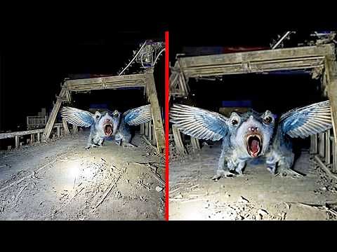 Top 10 Disturbing Photos Taken Inside Chernobyl After the Disaster - Part 3