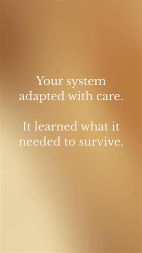 Nervous System Reflection | Your System Adapted