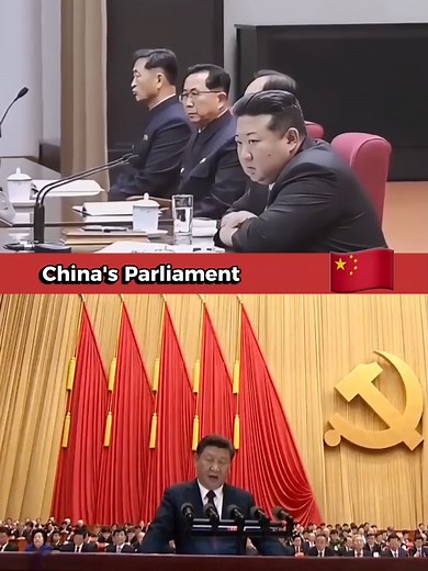 Analyzing Leadership Discipline in Political Systems