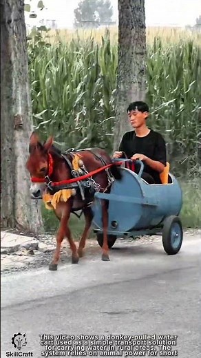 Animal Transport Work Tool Donkey-Pulled Water Cart System #worktool