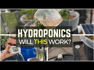 Hydroponics Drip Irrigation Experiment with Chillies