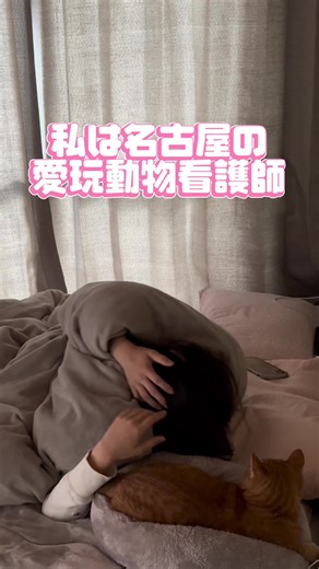 愛玩動物看護師の充実した1日
