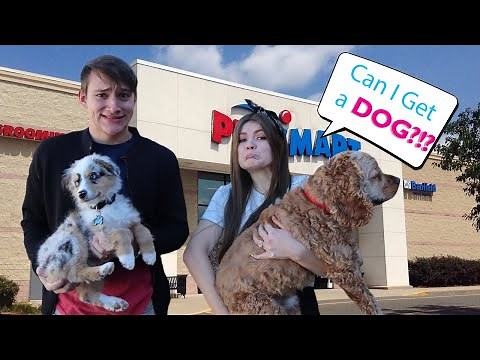 My Husband Says YES to Me for 24 Hours!