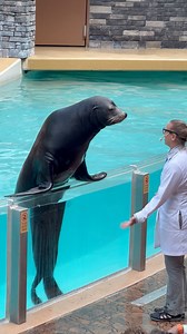 367K views · 5.6K reactions | Clyde got excited! #lol #photoop #newfriend #spotlight | Travisandcousins | Facebook