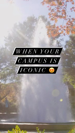 3.9K views · 188 reactions | We’re an icon, we’re a legend  What is your favorite campus icon? #NeverBarkAlone | UGA Alumni Association | Facebook