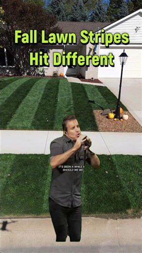 Fall Lawn Stripes Look Absolutely AMAZING!