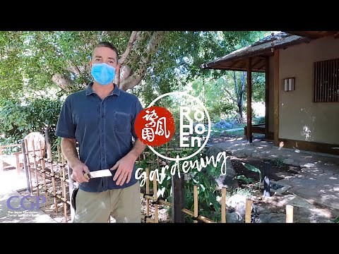 Japanese Gardening Techniques - Bamboo Fence Building Tutorial (Yotsume Gaki 四目垣)