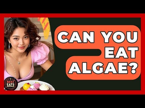 Can You Eat Algae? - Best Eats Worldwide