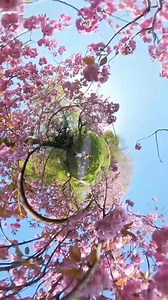 Discover the charm of Flanders in northern Belgium! | Visit Flanders | Facebook