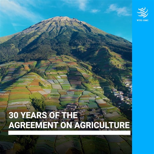 1.1K views · 25 reactions | In 1994, the WTO Agreement on Agriculture was adopted as part of the Marrakesh Package. Over the past 30 years, the Agreement has profoundly shaped the landscape of global agri-food trade. Watch the video to know more. #WTOAg | World Trade Organization - WTO | Facebook