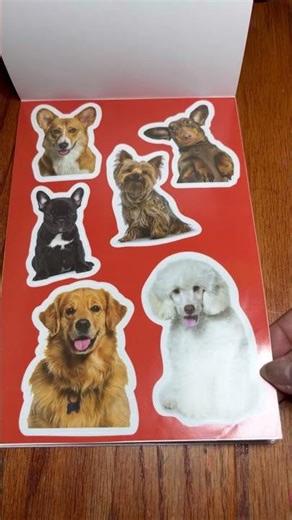 Dollar tree stickers haul #dollartree #sticker #crafts #diy #halloween #stickers #satisfyingvideo