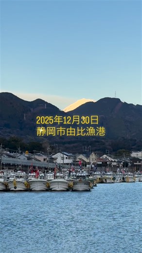 🦐2025年秋漁のご報告🦐 11月4日晩に初漁を迎え、11 月 11 回、12 月 4 回、合計で15 回の出漁でした⛴️ 12 月は例年通り冬型気圧配置の影響による強風で出漁は減少しました。主漁場は吉田～大井川～焼津沖周辺でこちらも例年通りでした。 水揚げ総数は 14,155 箱・約 212ｔでした😊 （2024 年 秋漁計 12600 箱・約 189ｔ）。 関係者の皆様、当アカウントをご覧いただいた皆様、 2025年もありがとうございました。 良いお年をお迎えください✨ 工場は新年5日より営業いたします。 | 静岡・桜えびとしらすの専門店（株）ヤママル