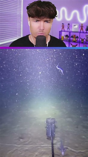 What happens when you drop your camera into the ocean? #shorts #memes #funny