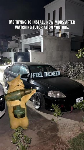 Struggling with Mod Installation: A Meme Perspective