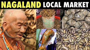 6.2M views · 136K reactions | LOOK what we found in NAGALAND Local Market | what do NAGA people EAT? IndiaRide Ep-19 | SJ VLOGS | Sj Vlogs | Facebook