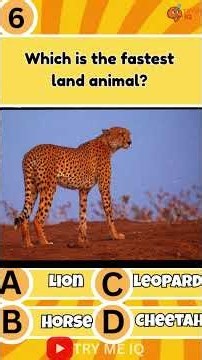 Test Your General Knowledge: Can You Get 7/7? | Fun Quiz Challenge!