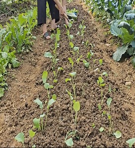 single mother's new life. How will the divorce case progress #singlemother #singlemom | Tasty Life