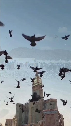 কত দূর ঐ মদিনার পথ। ইসলামিক গান। মোমরাজ বাদশা