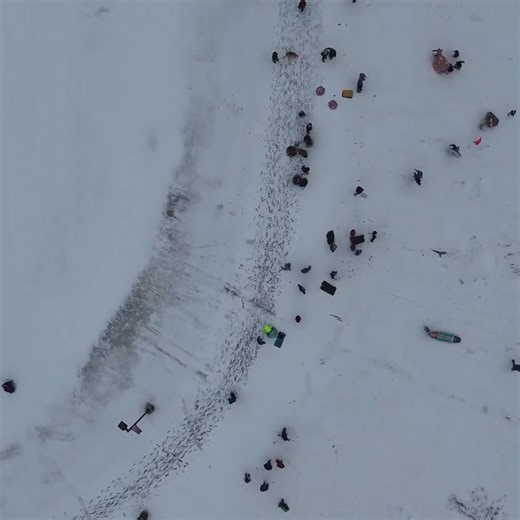 176K views · 7.7K reactions | People are sledding in Houston, Texas. ⛄  Charles Blain | KAKE News | Facebook