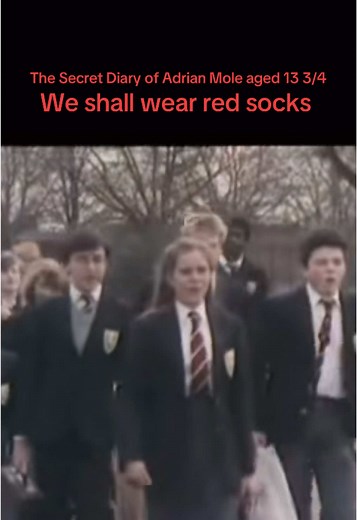 Understanding the Protests in Adrian Mole's Diary