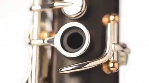 We are proud to present a completely new model, LÉGENDE. This new clarinet is the result of developments in methodology and touts the same virtues as its high-end counterparts, including: - metal-capped tenons, for an enduring union between upper and lower joints - GreenLinE tone hole slots, ensuring an air-tight closure and flawless sound while eliminating the risk of cracking - a low F correction key to enhance the sound in this characteristic scale - ergonomic rings for a more comfortable and