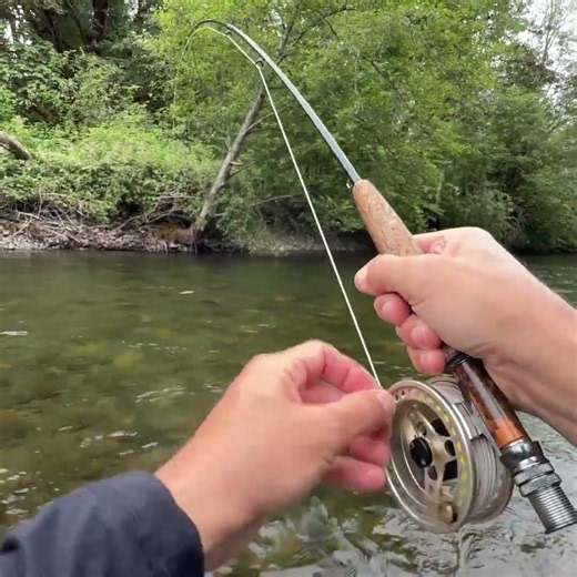 That Big Trout SMASHED My Streamer Right as it Touched the Water