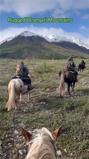 Rugged Alaska-Wrangell Mountains #alaska #horse #mountains