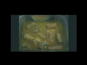 Lotus Root Curd Curry [ Nadru Yakhni ] Kashmiri Style