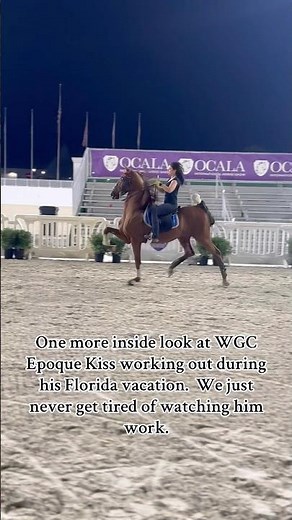 One more inside look at WGC Epoque Kiss working out during his Florida vacation. Never enough. ❤️