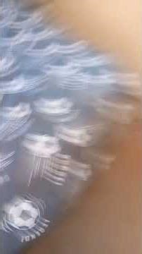 my dark deception movie part5